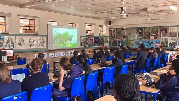 rhisotope's tweet photo. The students at St Stithians collage worked hard on their radioisotopes posters for #WorldRhinoDay and they were absolutely amazing! 🦏🌍
It is incredible to see their passion and interest in both conservation and science 🤓🧪#TRP #DigiPal #futurewarriors #witsforgood #education https://t.co/vxihmNZPSW