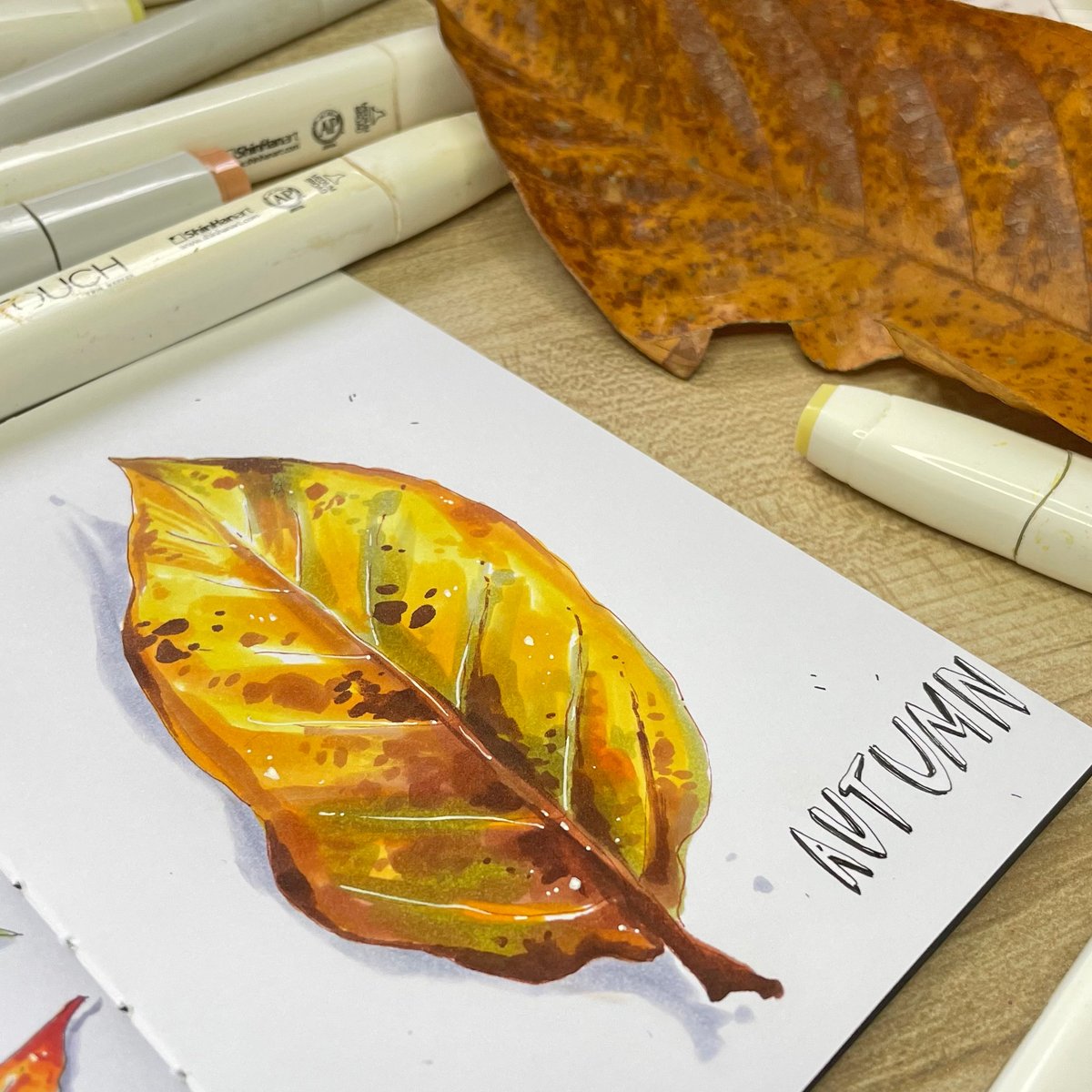 art_is_journey's tweet image. Sketched some leaves I found in my garden🍂And how was your day? #copic #markertutorial #artjournal