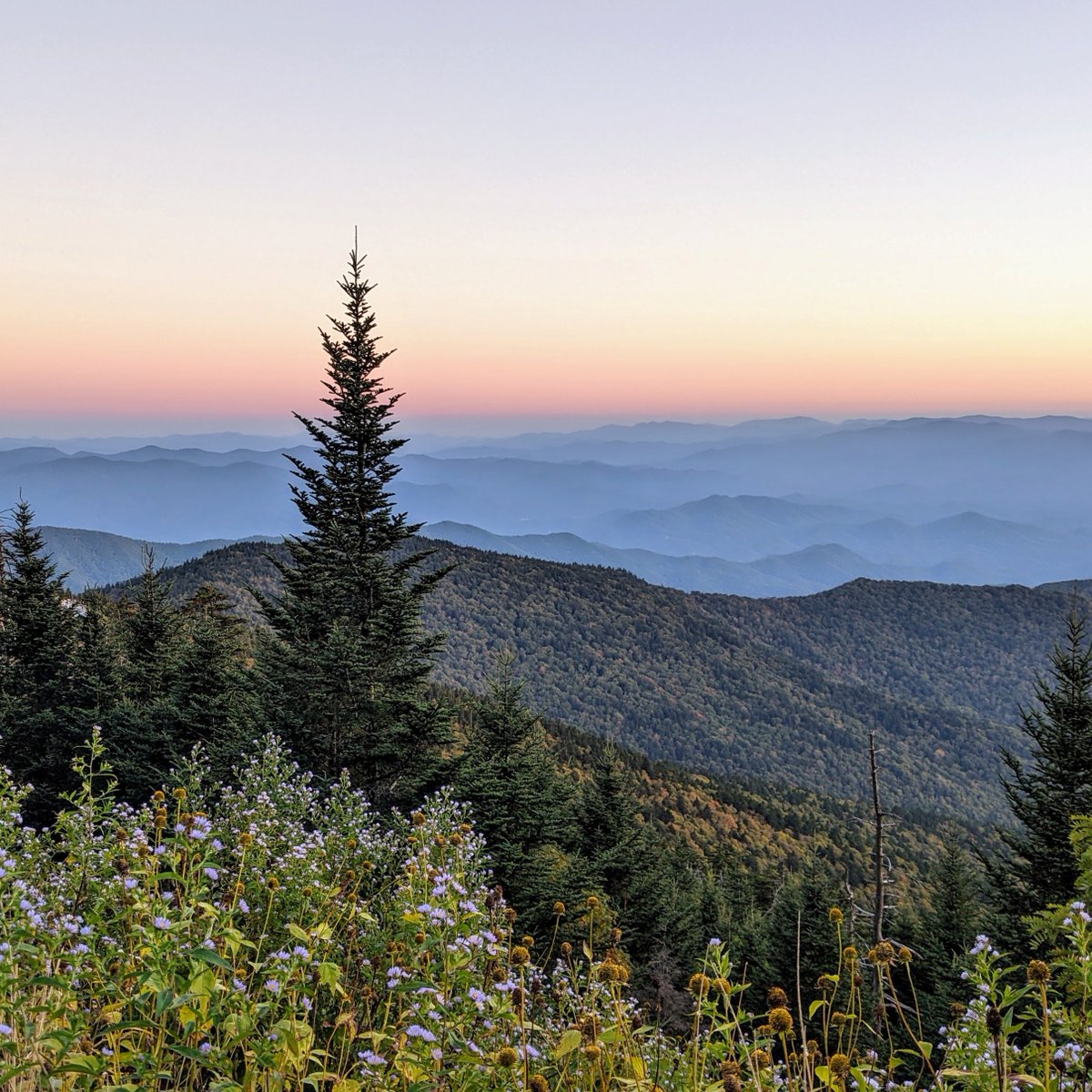 GreatSmokyNPS tweet media