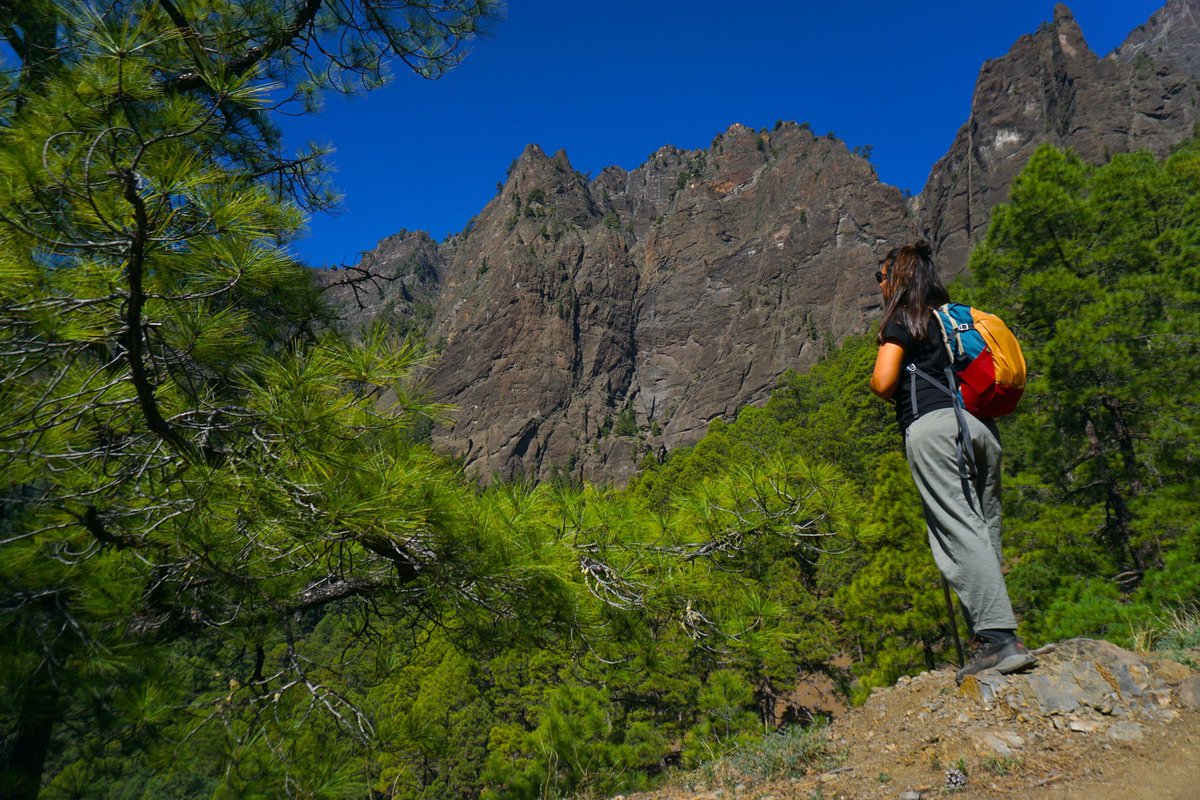 RandomTrip tweet media