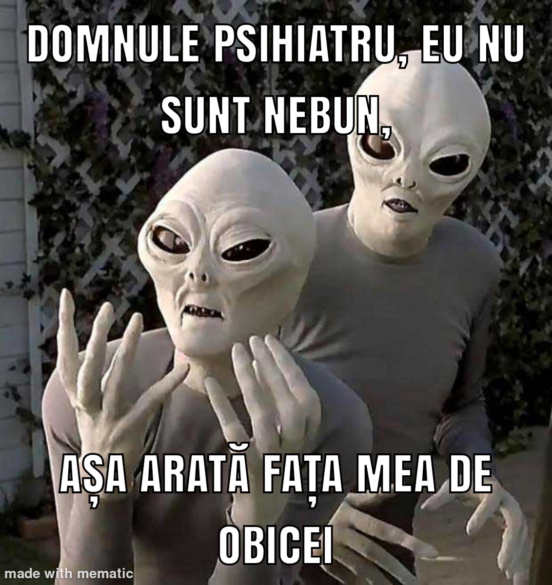 RazvanVischi's tweet photo. https://t.co/5gbvv2tPah