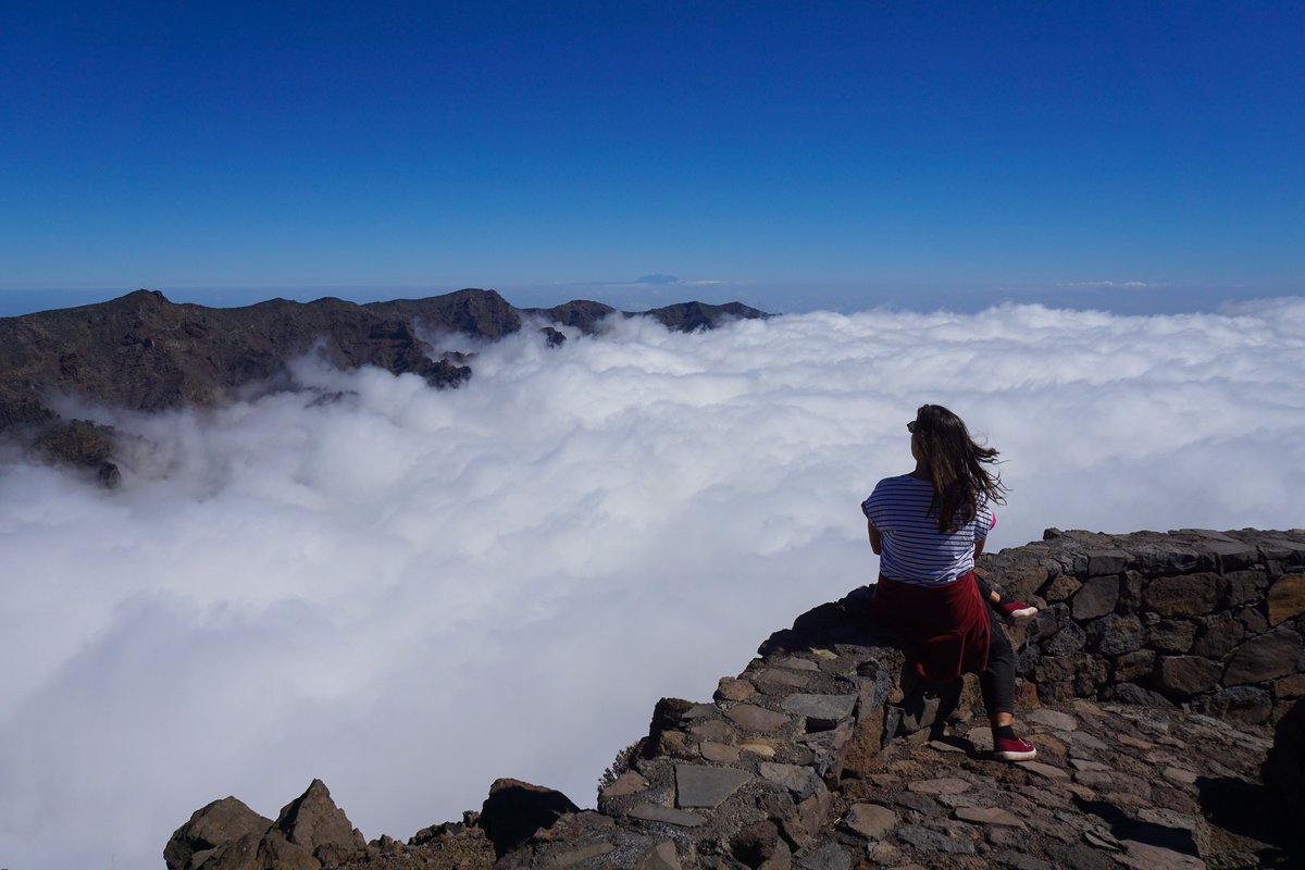 RandomTrip tweet media