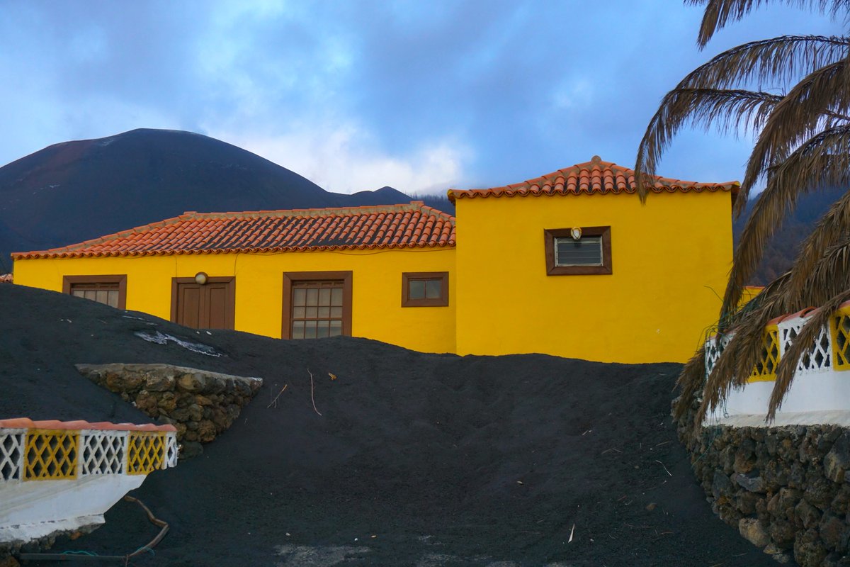 RandomTrip tweet media