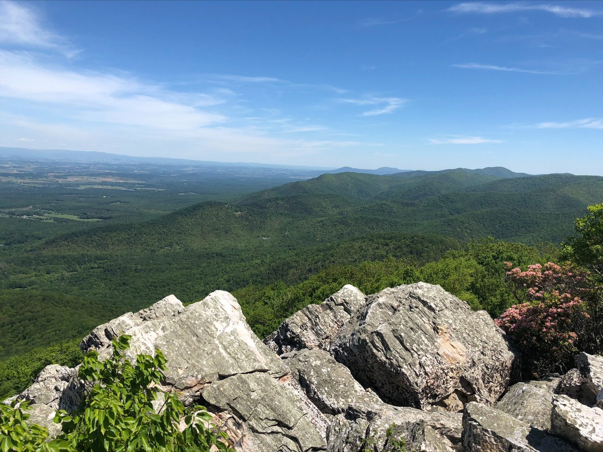 We are hiring @CardioUva. We are looking for 2 general cardiologists, including a leader in CV Prevention. Come join a growing, high performing team in beautiful central VA. @mikevalentineMD @AmitRPatelMD @45756915others @JamiesonBourque @AbbateAntonio @JLindnerMD @PRodriguezMD