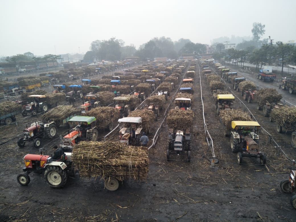 Cane Development UP tweet media