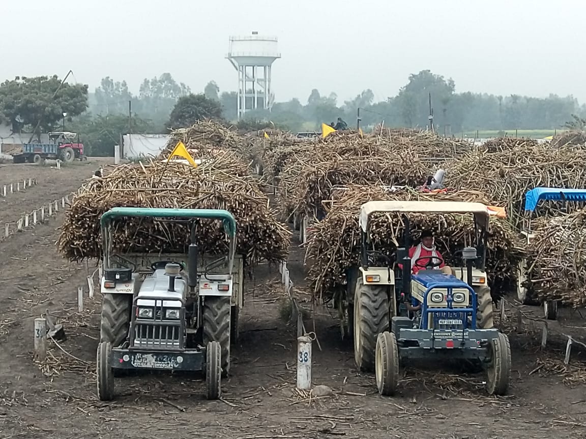Cane Development UP tweet media