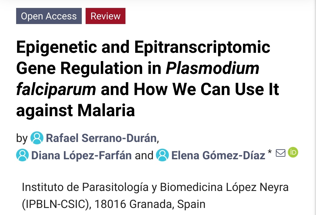 SerranoDRafa's tweet image. The #malaria parasite relies on epigenomics and epitranscriptomics to develop and adapt within its human and mosquito hosts. But their main tool may be its Achilles heel..
Learn more in our last (and my first!) review in @elenagomezdiaz lab
mdpi.com/2073-4425/13/1…
@MDPIOpenAccess