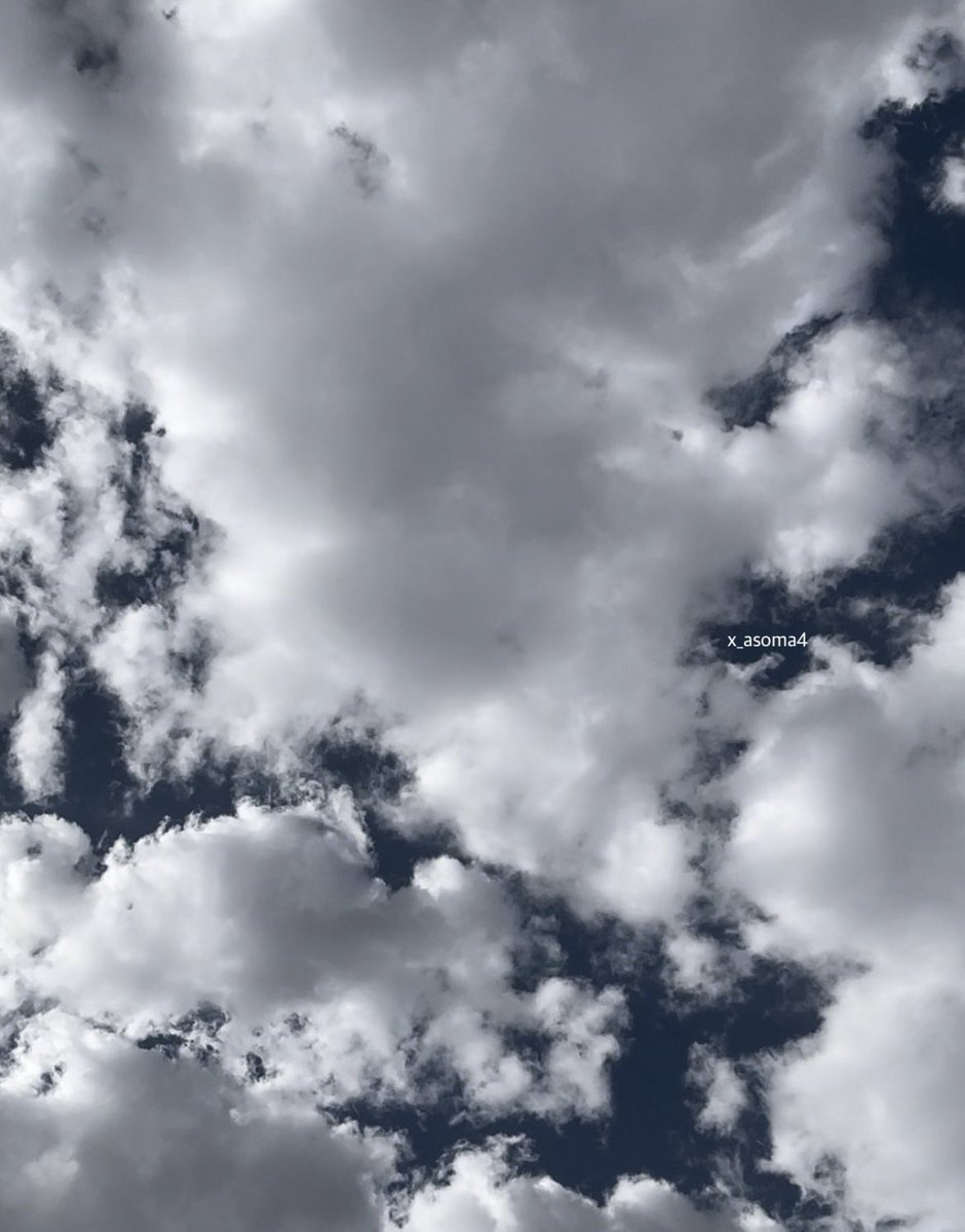 شعُور . tweet media