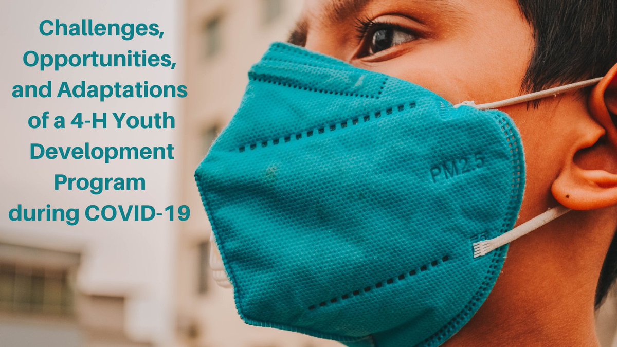 Journal of Youth Development tweet media