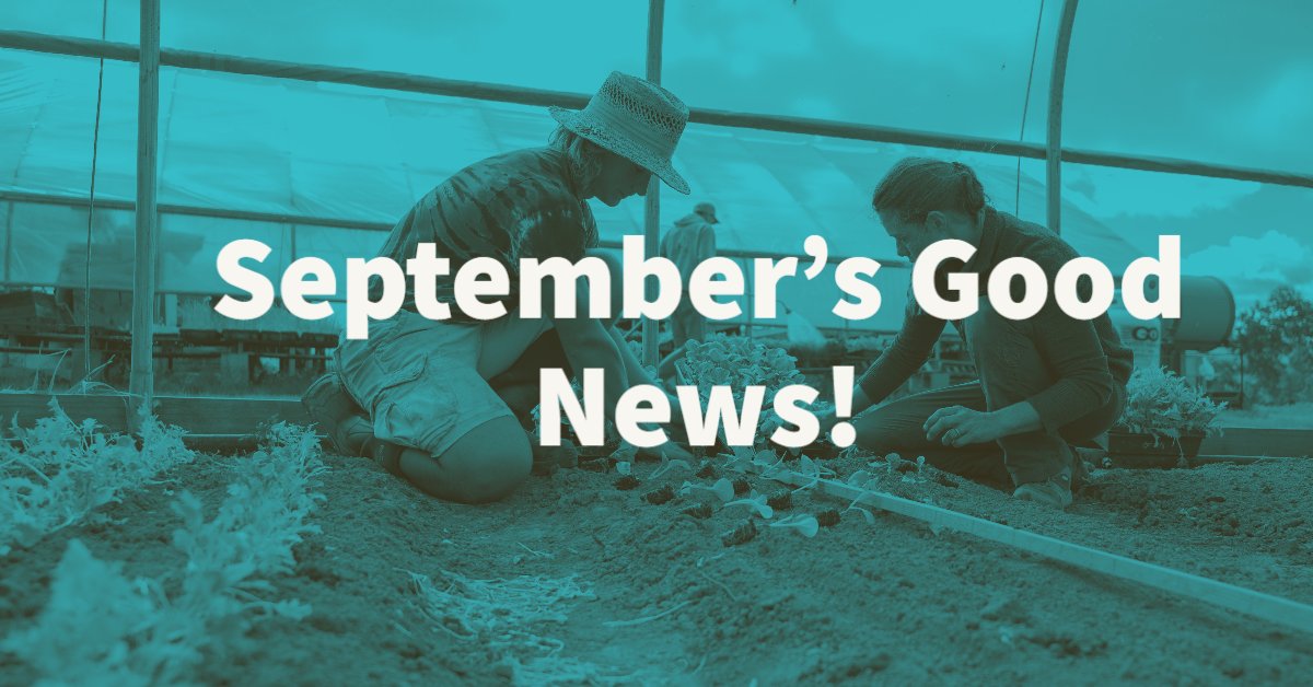 CattFoundation's tweet photo. Our team is growing! Check it out with this month's Good News! - https://t.co/52ucPvEf58 https://t.co/IgGkR8hJ2E