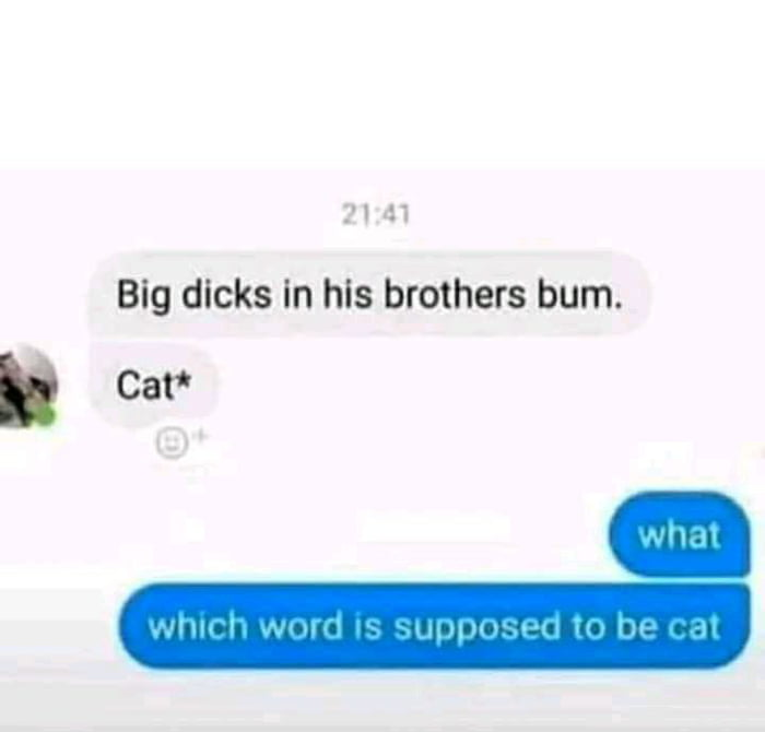 <a href="/Son_ImSleep/">That Rabbit Guy</a>