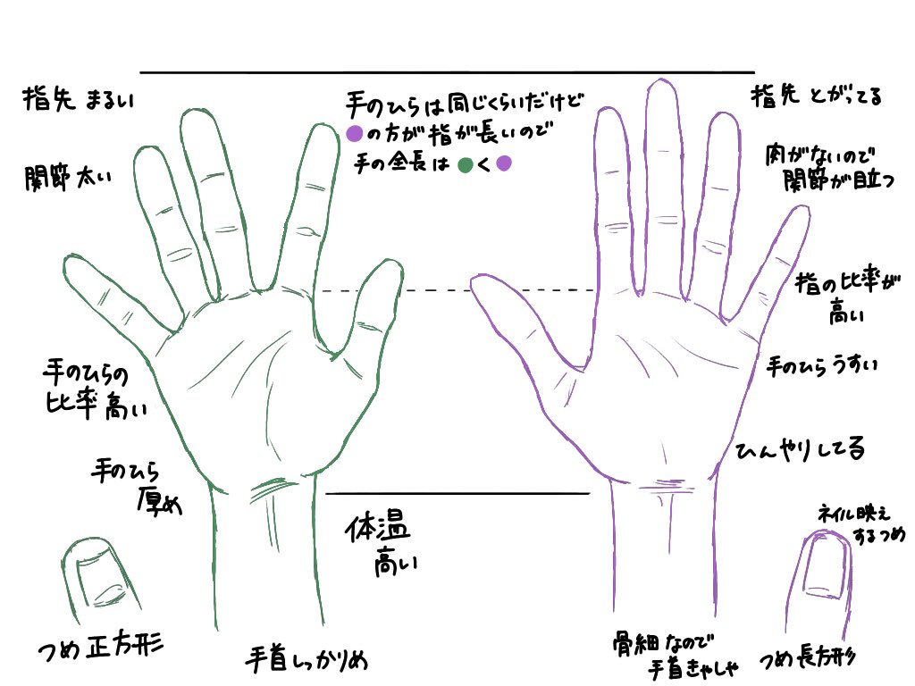 千ゲの手 せんくーちゃん骨格ストレート、ゲ骨格ナチュラルなイメージ 「手のひらの大きさは同じくらいだけどゲの方が指が長いので手の全長は千<ゲ」が個人的サビ(とはいえなんでも好き) 