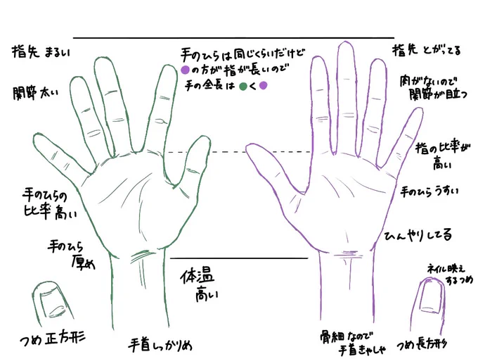 千ゲの手 せんくーちゃん骨格ストレート、ゲ骨格ナチュラルなイメージ 「手のひらの大きさは同じくらいだけどゲの方が指が長いので手の全長は千&lt;ゲ」が個人的サビ(とはいえなんでも好き) 