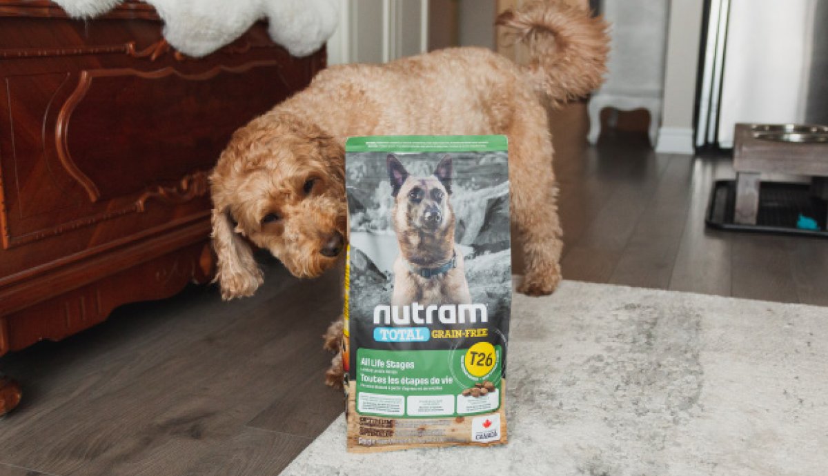 nutram's tweet photo. Wrigley might not be able to read what is on his bag of Nutram petfood, but he knows from the familiar smell, wholesome goodness is in the bag. 

To learn more about our pet foods, visit https://t.co/AWIPiDHt9y

#nutram #petfood #T26 #dogsofTwitter https://t.co/IIpFkjVill