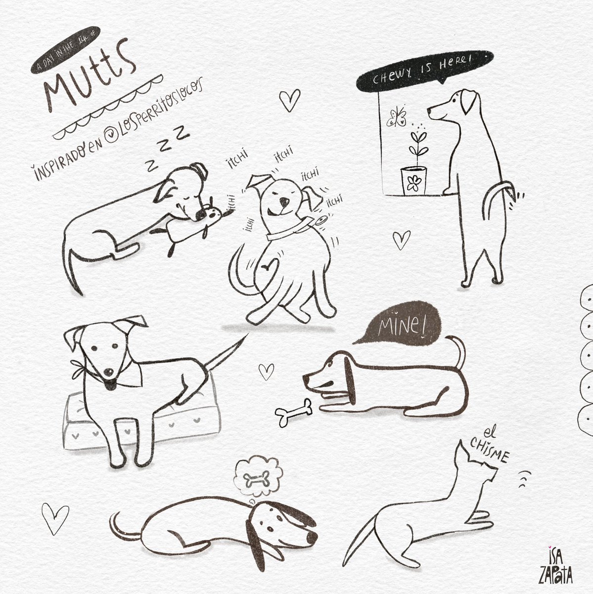 Isa Zapata ® tweet media