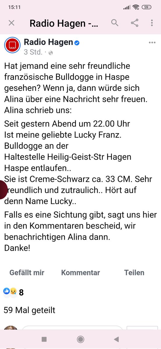 Babsi58089's tweet photo. #RadioHagen #Hund franz. Bulldogge in #Haspe #Hagen #vermisst #entlaufen https://t.co/hhLer01GMI