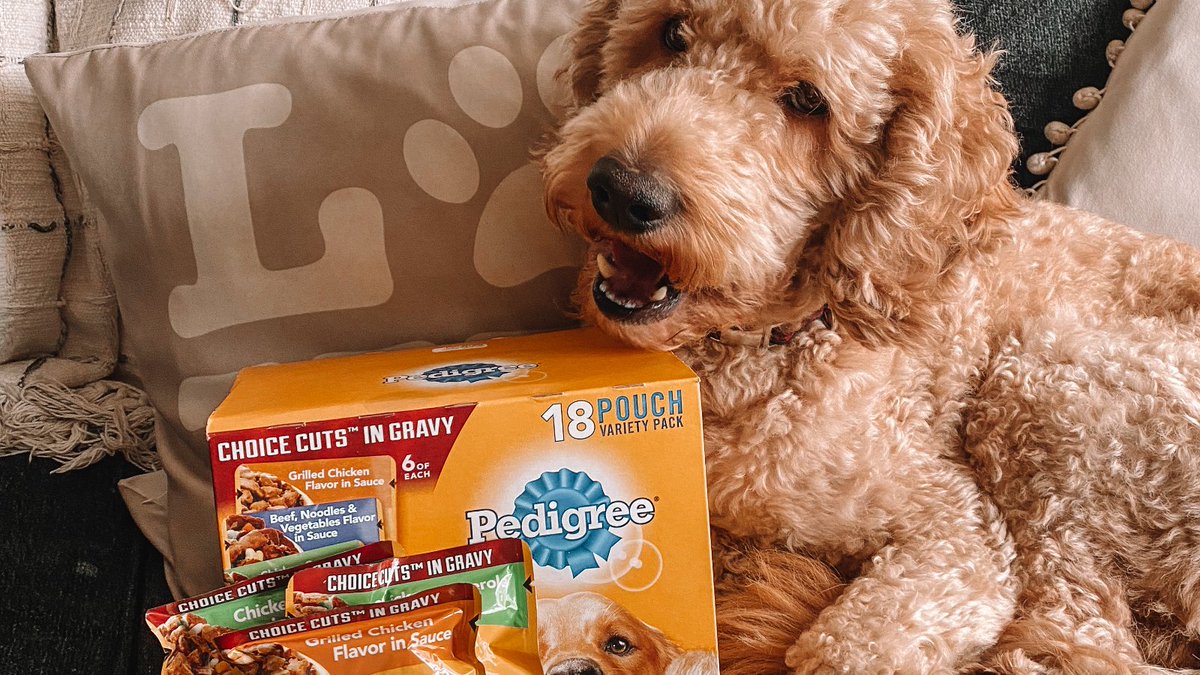 That feeling when you just can't get enough PEDIGREE Pouches. #PedigreePouches #PedigreeDogFood