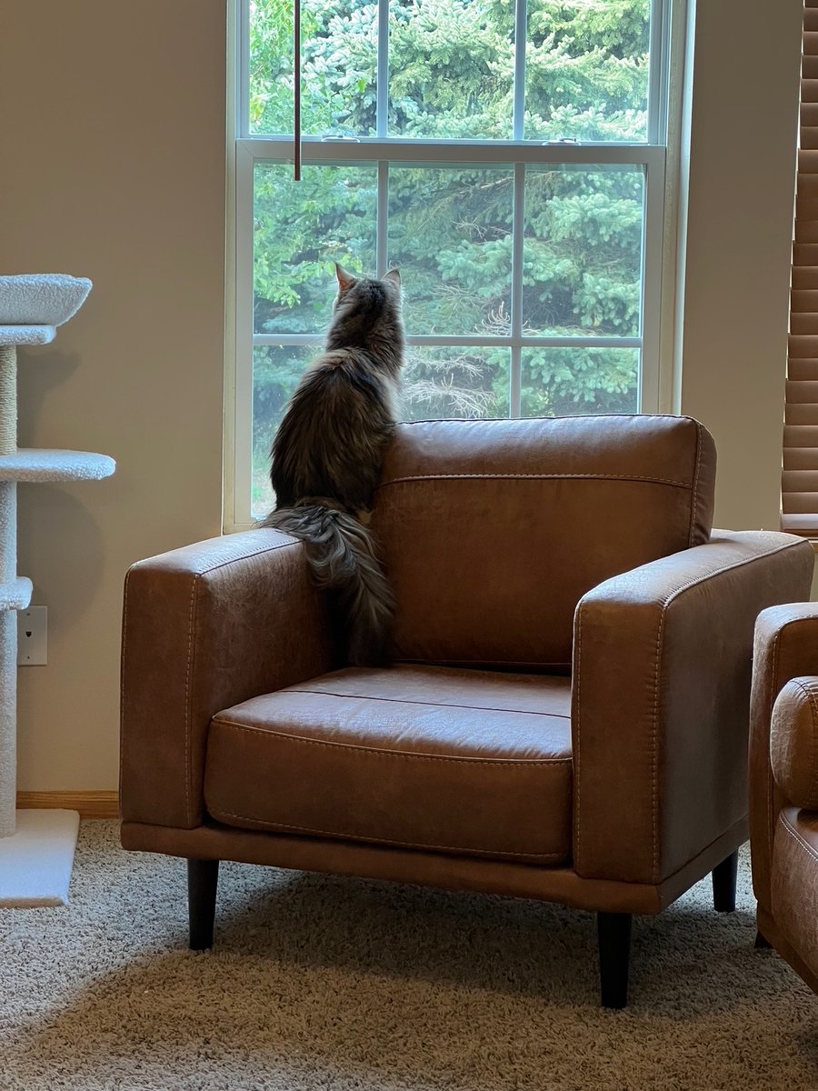 Kevin Riggins tweet media