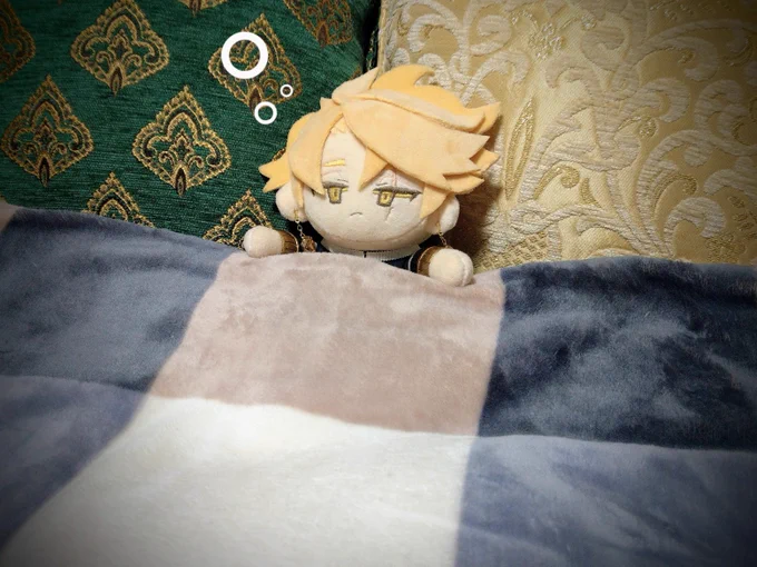 心がざわついてるので作ってもらった最高にバチバチにかわいいうちのルトリアのぬいぐるみを貼るかわいい最高にかわいい 