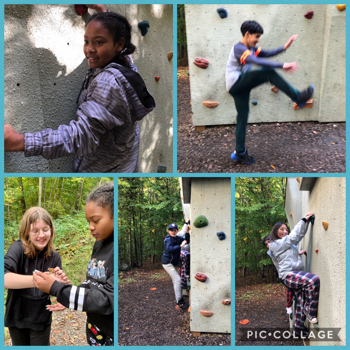 Mrs. Fraba tweet media