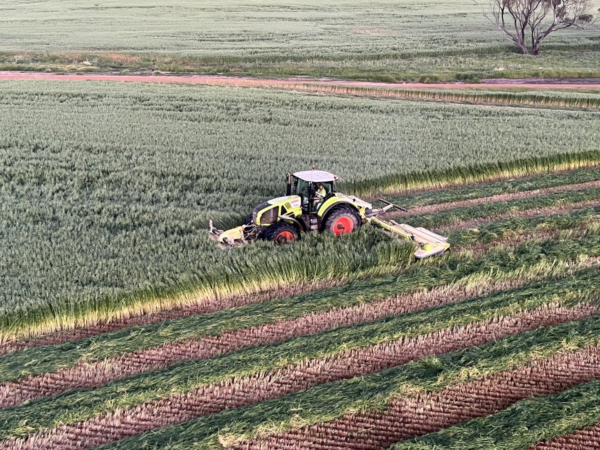 Position for Farm Plant Operator available on a mixed cropping and cattle property south of York.
Our program consists of cereals and canola with an export hay program. 

Contact me for more details.