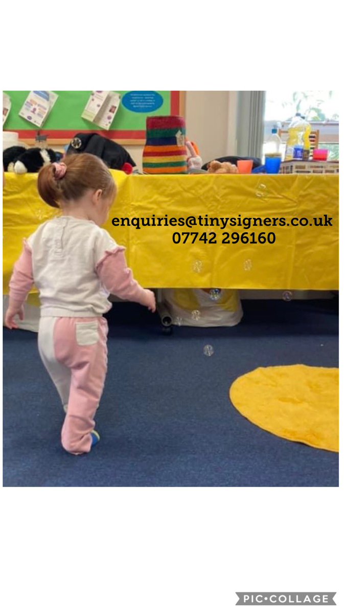 Tiny Signers & BCS tweet media