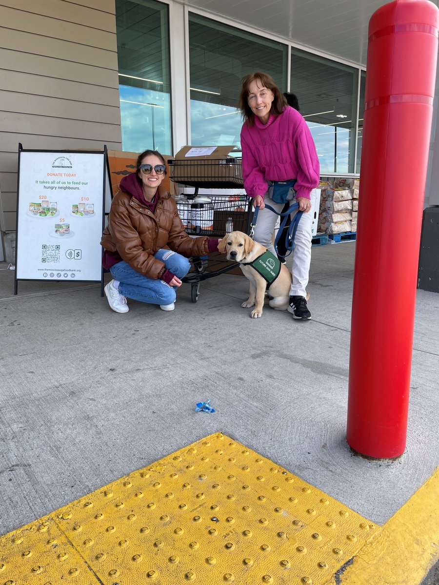 albrandstatter's tweet photo. Amy, Rhonda, and the adorable Virgil helping the community this past weekend by collecting donations at the Mississauga Food Bank's Thanksgiving Food Drive! So happy our team was able to give their time to such an important cause! WAY TO GO! 👏🍴😊 https://t.co/RCtsUKSokY