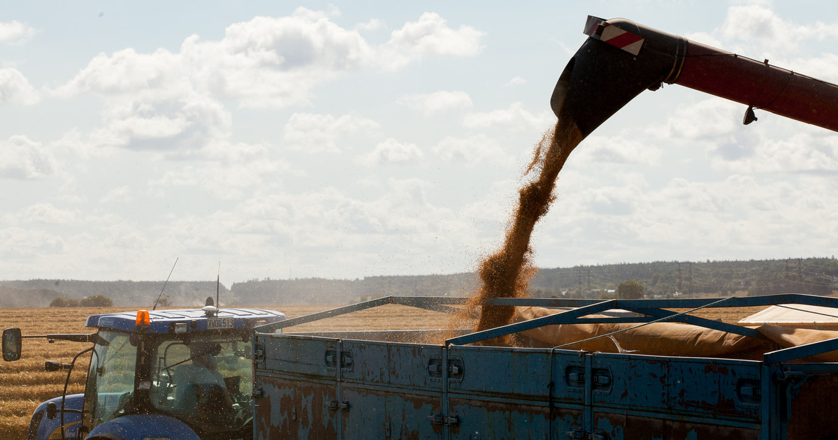 Workshop om växtförädling och cerealier den 20 oktober. Diskussioner om hela livsmedelssystemet kring cerealier, från gen och frö i jorden till produkt på marknaden. Presentationer från näringslivet och projekt. 

Välkommen!

slu.se/ew-kalender/20…
