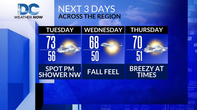 Jackie Layer tweet media