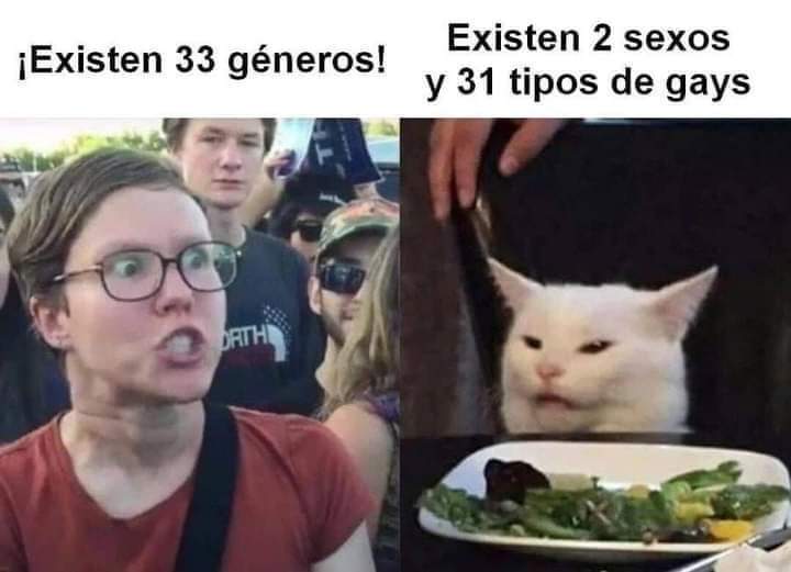 regina_tello's tweet photo. Pinche gato para hacerme reír tanto 😂🤣😅 Ácido como él solo (pero de batería 🔋) https://t.co/cD48jQtWWm