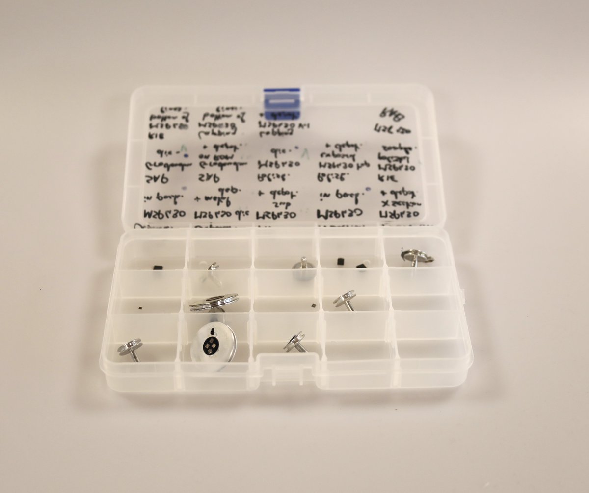 Texplained_RE's tweet image. Getting samples ready for the next hands-on training session in our lab. Only 2 weeks left before some of you learn how to recover secret data from chips. #TexplainedTT #ICReverseEngineering