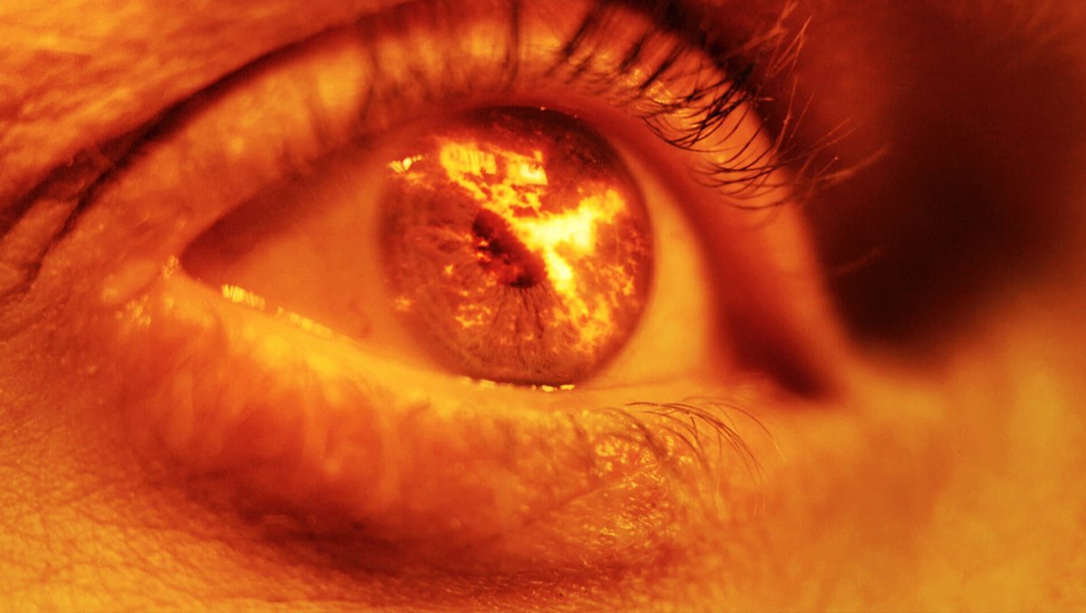 'As Scipio gazed out over the destruction of Carthage he wept openly, realising that all cities and nations must, like men, meet their doom. Reflecting on the fate of all human things, he was filled with foreboding, that one day the same doom might be visited on his own nation.’