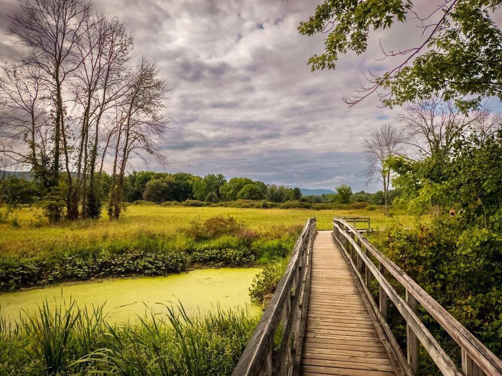 Sproxno's tweet photo. Footbridge over stream on stairway to heaven hike on the Appalachian Trail in Vernon, NJ 
.
.
.
.
.
#njhiking #hiking #hikemore #hikenj #getoutandhike #getoutside #njisbeautiful #njisntboring #stairwaytoheaven #boardwalk #appalachiantrail #water #algae #… https://t.co/foQlkknHYo https://t.co/XbOoTdVHoG