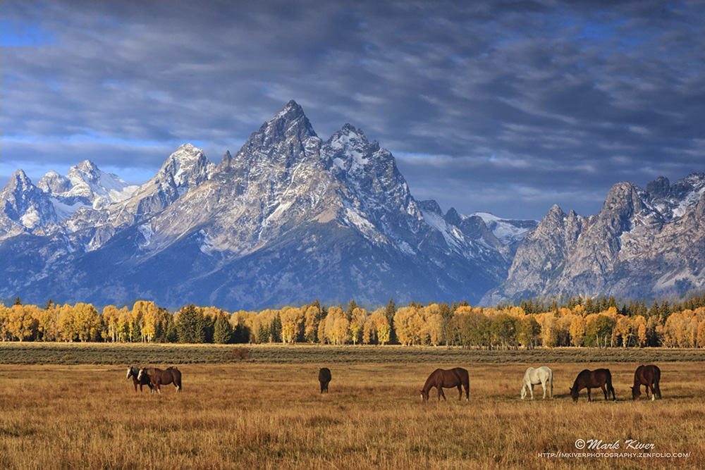 MarkKiver's tweet photo. Autumn in Grand Tetons. Find it here: https://t.co/O190jkgVyC #FallForArt #BuyIntoArt #Grandtetonnationalpark #AutumnVibes #Fallcolors #Farmlife #photographylovers #Homedecor https://t.co/XNILZKszJ9