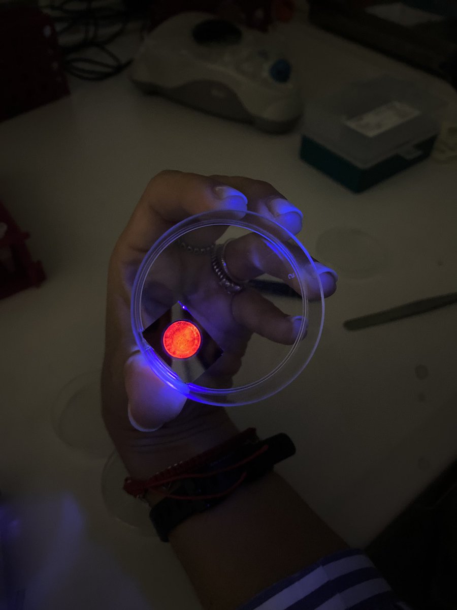 NBSY_group's tweet photo. “The European night of researchers S.T.R.E.E.T.S” is getting serious! NBSY group and ISASI-CNR are waiting for you on Friday September 30 in Naples to talk about the NanoWorld for medicine.  #researchjobs #nanomedicine #naples #silicon #science #light#nanomaterials #nanotech https://t.co/myqeKlvjSc