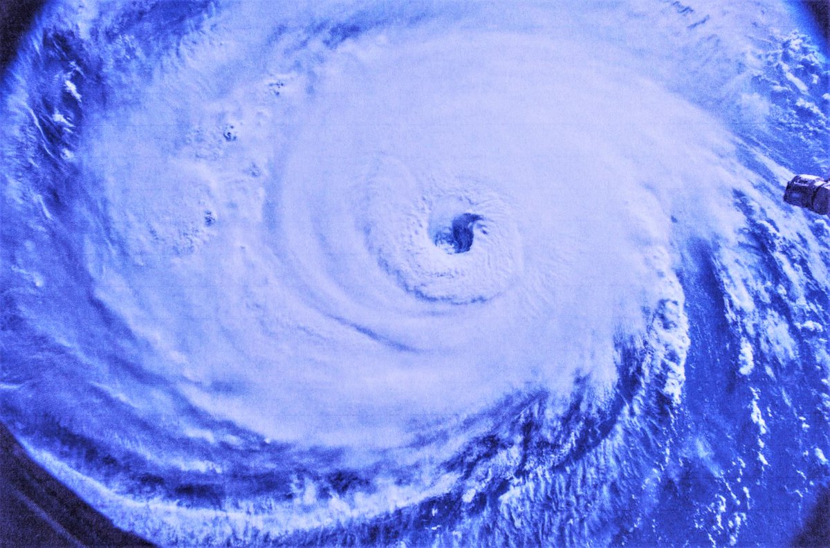 University Business tweet media