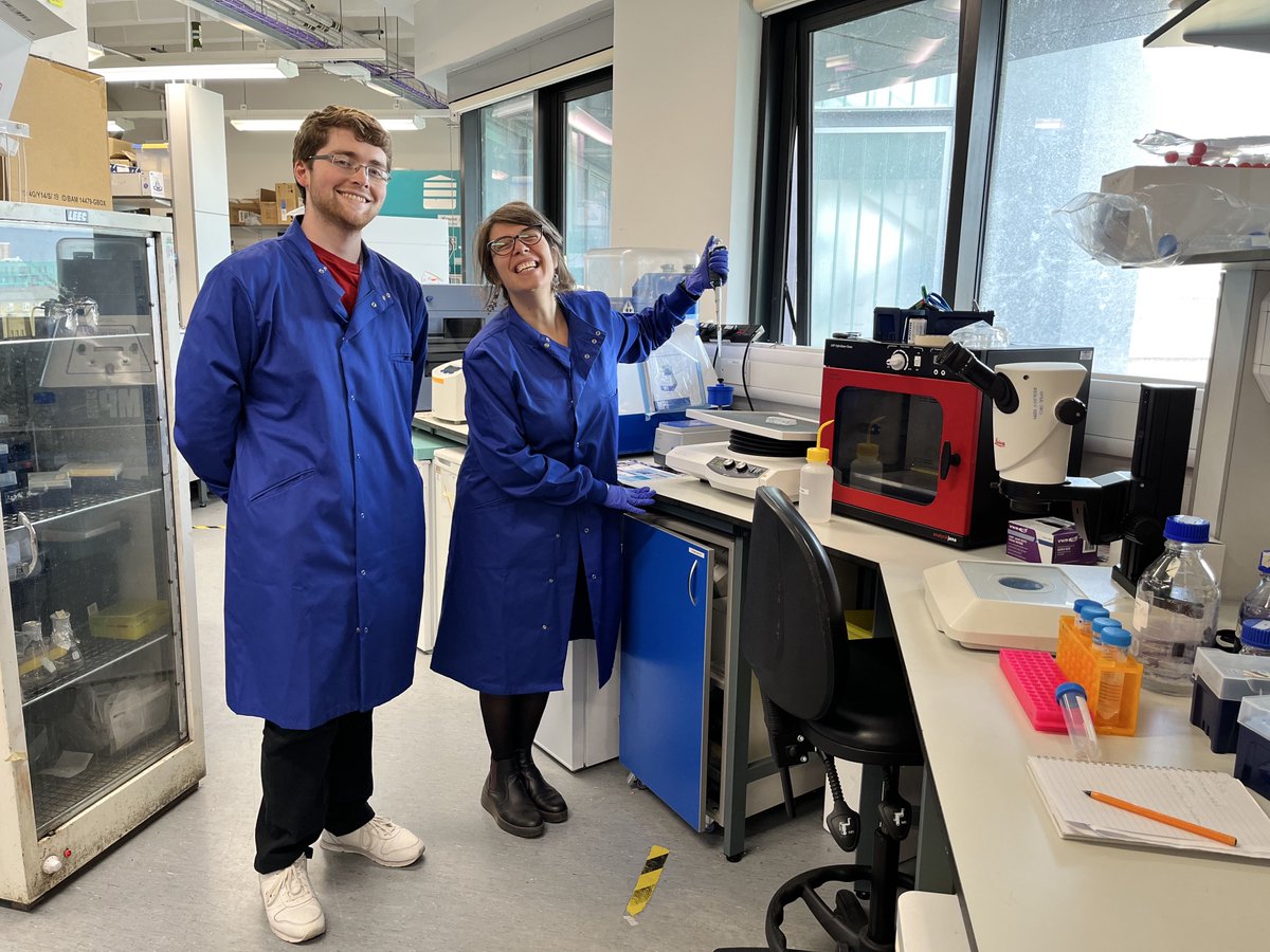 Martín-Durán lab (@chema_md) on Twitter photo We’re delighted to host <a href="/MuccioloSerena/">🪱erena Mucciolo</a>, from University of Lodz, in the lab! She’ll be learning in situs, immunostainings and microscopy in 🪱 for the next few weeks to study the genetics of salinity tolerance and invasiveness in polychaetes. Welcome Serena! We’re delighted to host <a href="/MuccioloSerena/">🪱erena Mucciolo</a>, from University of Lodz, in the lab! She’ll be learning in situs, immunostainings and microscopy in 🪱 for the next few weeks to study the genetics of salinity tolerance and invasiveness in polychaetes. Welcome Serena!