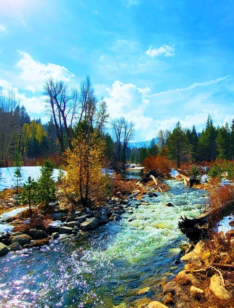 Tina Koskima 🇫🇮🕊️🇺🇦 on Twitter "Blackwood Creek on late winter in Tahoe, California 🇺🇸"