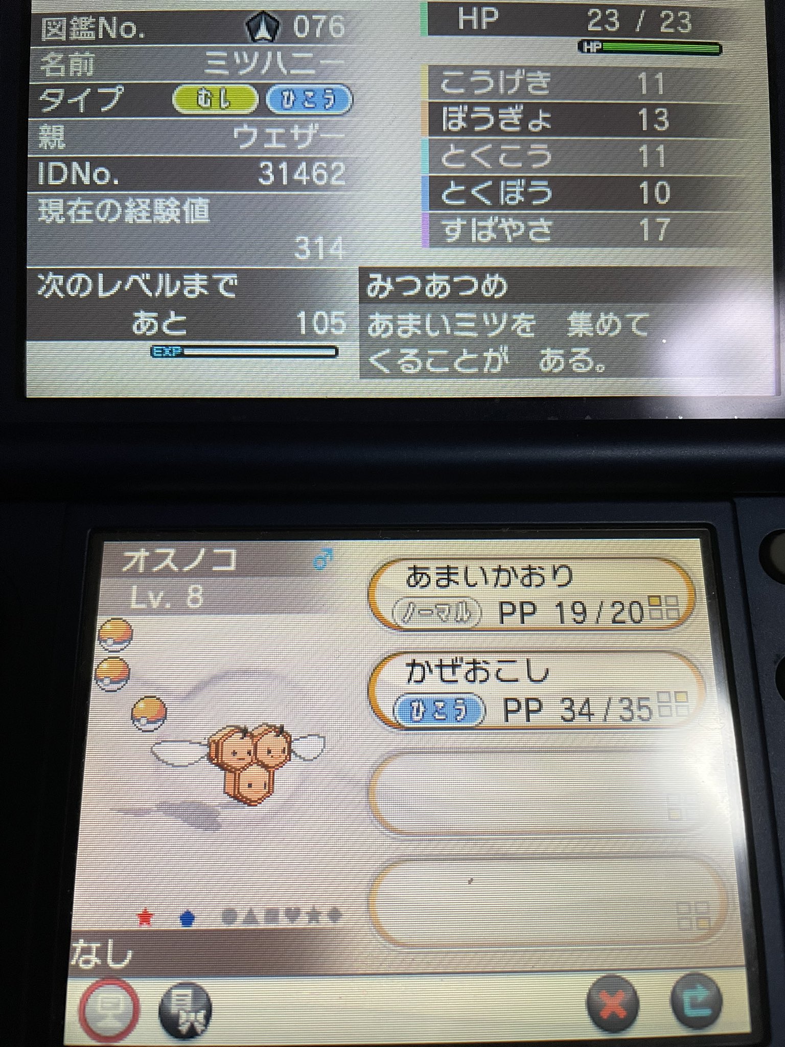 色違い縛りの旅 Twitter Search Twitter