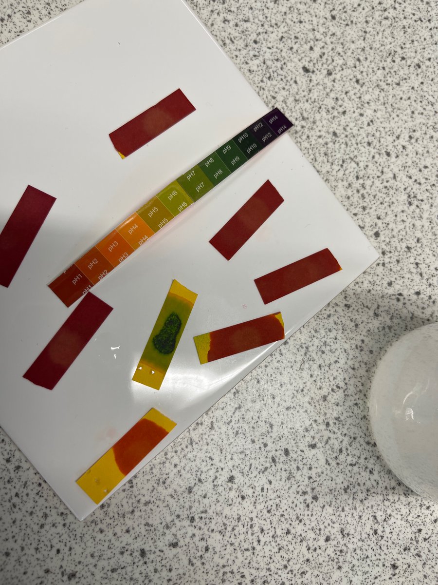 Science_Brechin's tweet image. ACHIEVEMENT: S1 Scientists looked at neutralisation reactions today - great lab 🥼 work and team spirit ! #ThisisBrechin @BrechinHigh1 #reallifecontexts #bestkids #bestjob