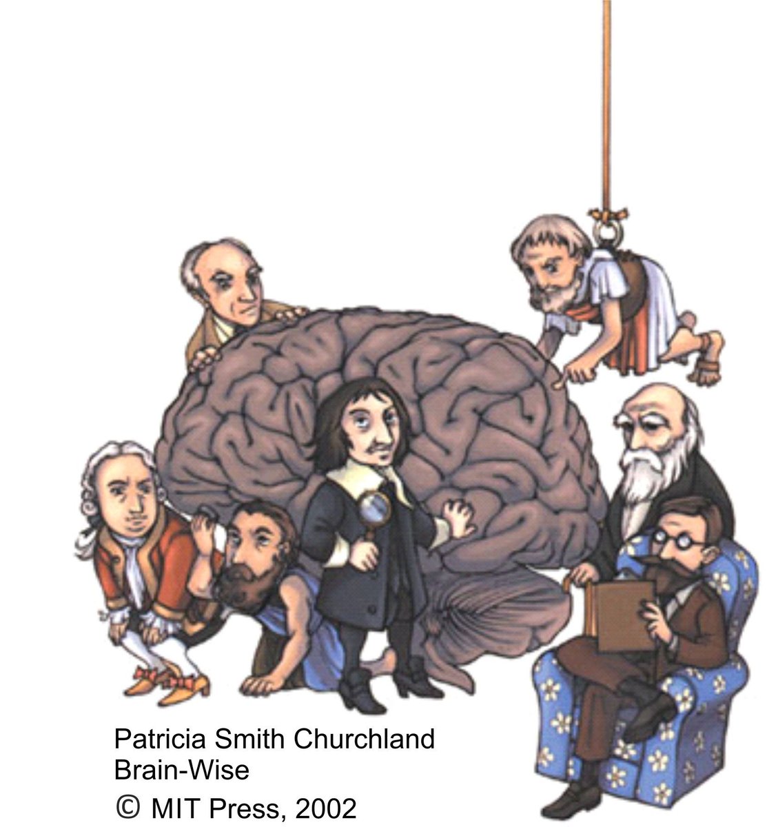 Draguhn Lab tweet media