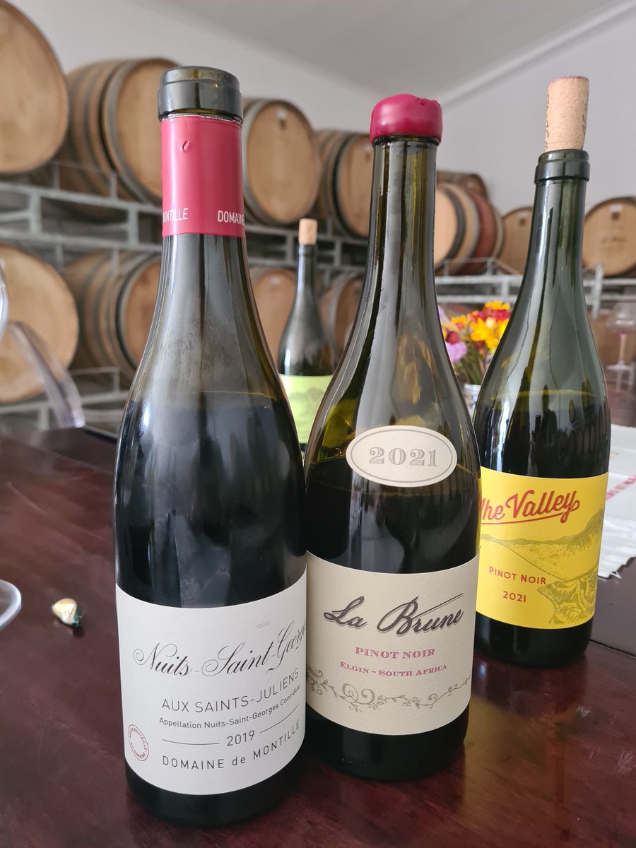 Bit of lunchtime benchmarking - <a href="/LaBrune_SA/">La Brune Wines</a> from Elgin definitely a label to watch.