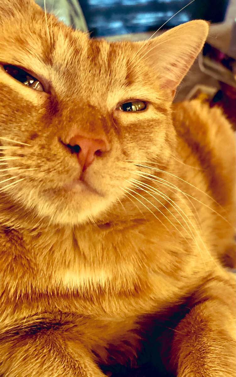 Marley McFurry tweet media