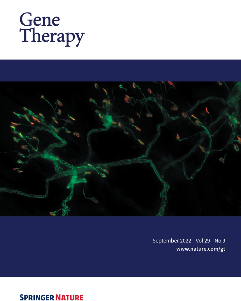New issue out now! ⬇️
nature.com/gt/volumes/29/… 

On the cover,  from the <a href="/KotharyLab/">Rashmi</a> <a href="/uOttawa/">Université d'Ottawa | University of Ottawa</a>, neuromuscular junctions in the transversus abdominis muscle from a mouse model of #SMA.  Neurons (green) and motor endplates (red).