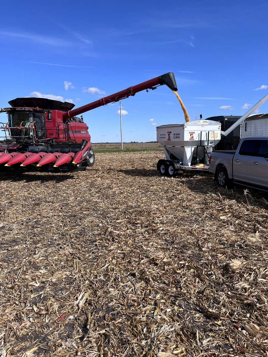 KyleRSmith1997's tweet photo. First plot of the year in Douglas County IL. Stone 🌽 showing out with our New hybrid 1612 SS taking first place 🥇 #StoneKnowsIL #Bayer4IL https://t.co/Jb2lDHixaF