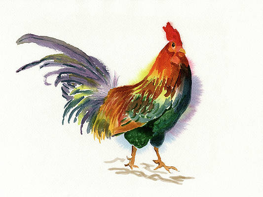 Golden Phoenix Rooster
AVAILABLE HERE - deborah-league.pixels.com/featured/golde…
#buyintoart #birdpainting #birdart #chicken #rooster #chickenart #roosterpainting #watercolorpainting #kitchenart #farmyardanimal #animalart #wallart #homedecor #GiftThemArt  #interiordesign #homedecoridea #whimsical