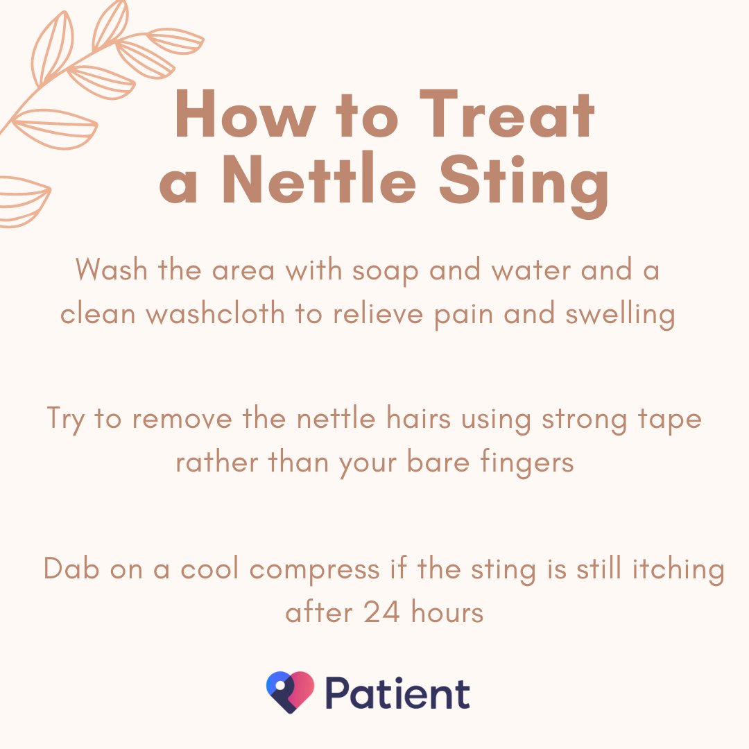 patient's tweet photo. Nettle stings aren't typically too serious, but they can be in rare cases. Either way, it's important to know what to do if you or someone else is stung, both to minimise uncomfortable symptoms and to potentially save a life. Find out more: https://t.co/psz7Q04fQz https://t.co/8JXBihGL6b