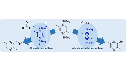Pyrazine Alkylation with Aldehydes and Haloalkanes Using N,N'-Bis(trimethylsilyl)-1,4-dihydropyrazine Derivatives by Kazushi Mashima, Hayato Tsurugi, and co-workers (<a href="/osaka_univ_e/">The University of Osaka</a>) onlinelibrary.wiley.com/doi/10.1002/ej…