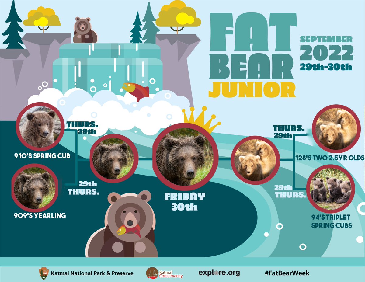 nicoledmt's tweet photo. Fat Bear Week is soon! Fat Bear Junior is in two days! Here are my junior picks! Let's go!!!! https://t.co/tdjD1Pupff