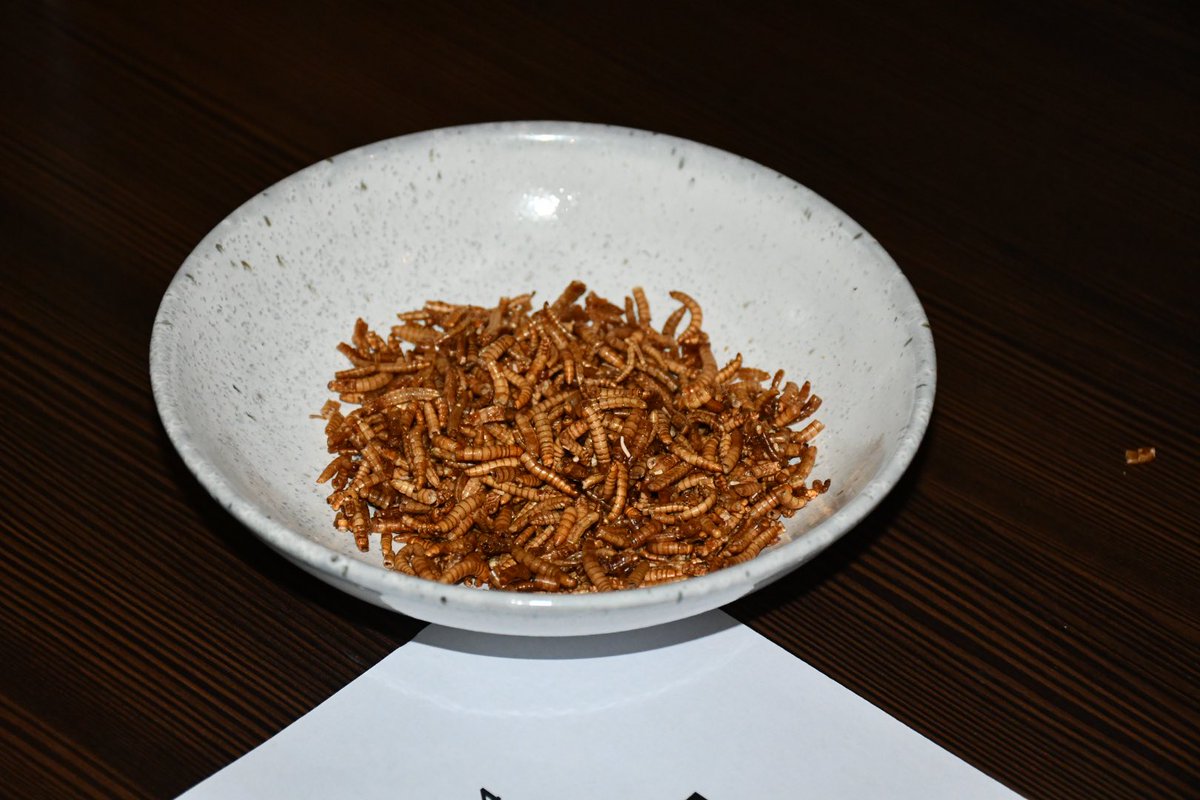 BiocatTUD's tweet photo. #BTSymposium2022 #TUDelft #Alternativefood https://t.co/Qnt8vV2MHU